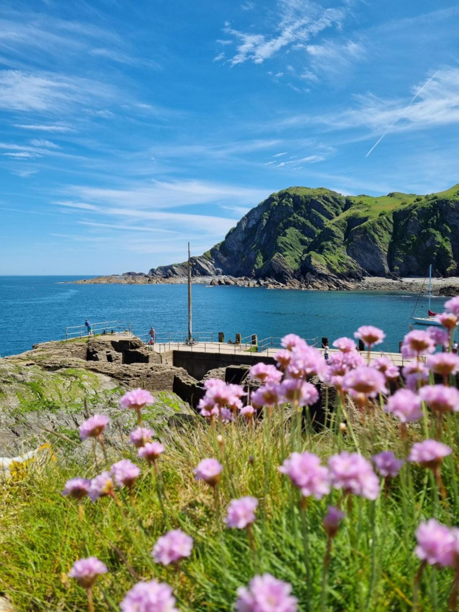 Apartmán Kittiwake Ilfracombe Exteriér fotografie