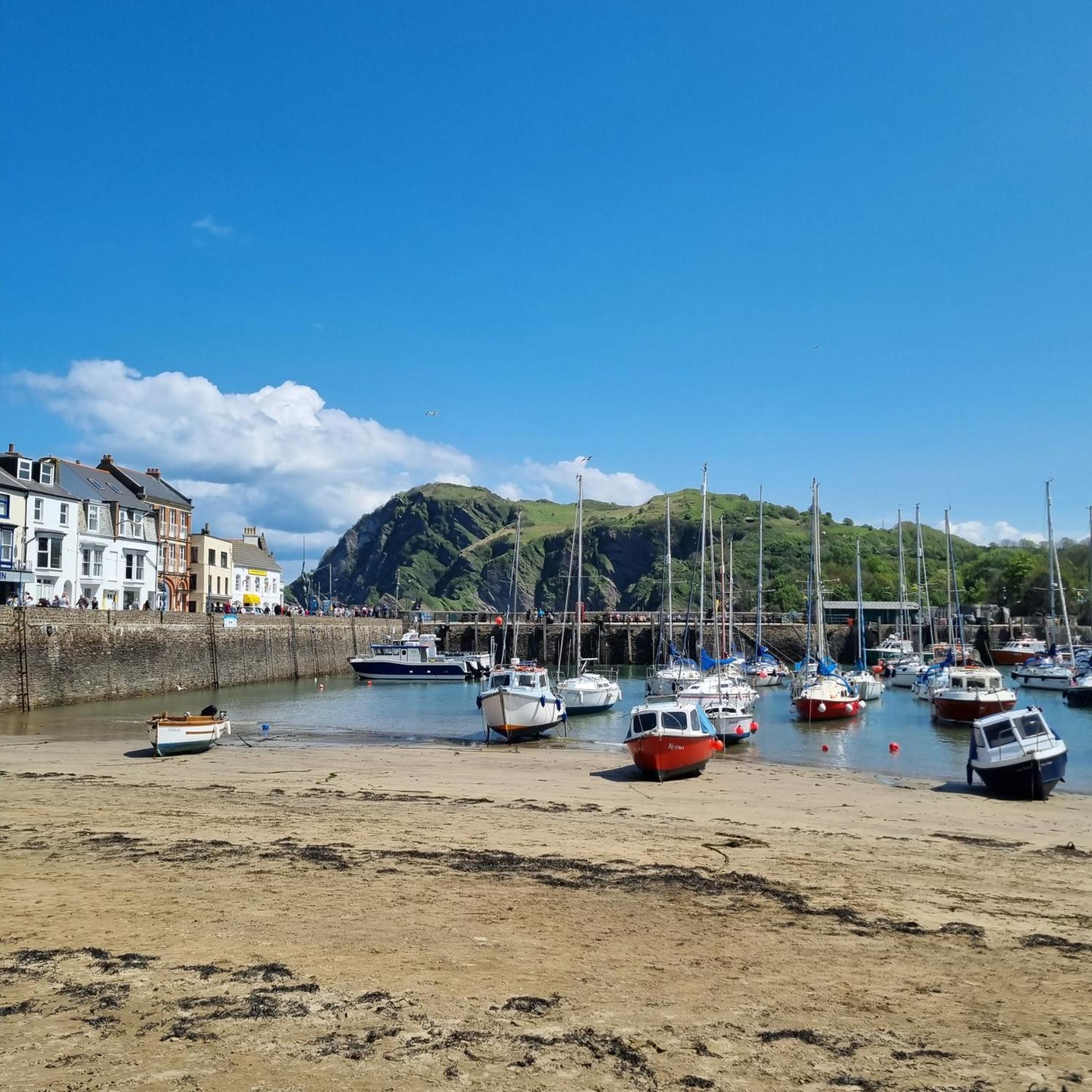 Apartmán Kittiwake Ilfracombe Exteriér fotografie